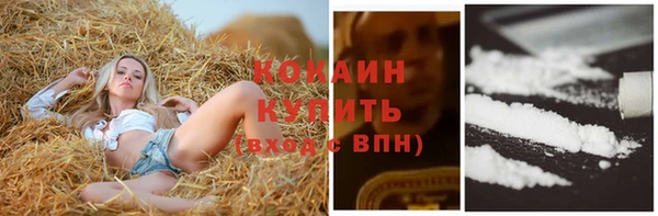 прущий лед Аркадак