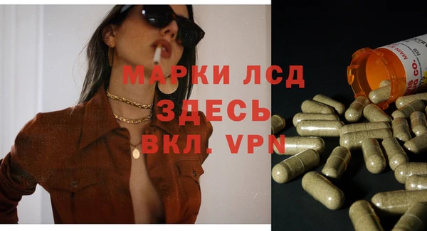 шишки Алексин