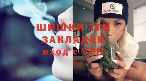 дмт Арсеньев