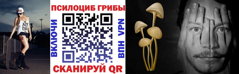 Псилоцибиновые грибы Magic Shrooms  Долинск 